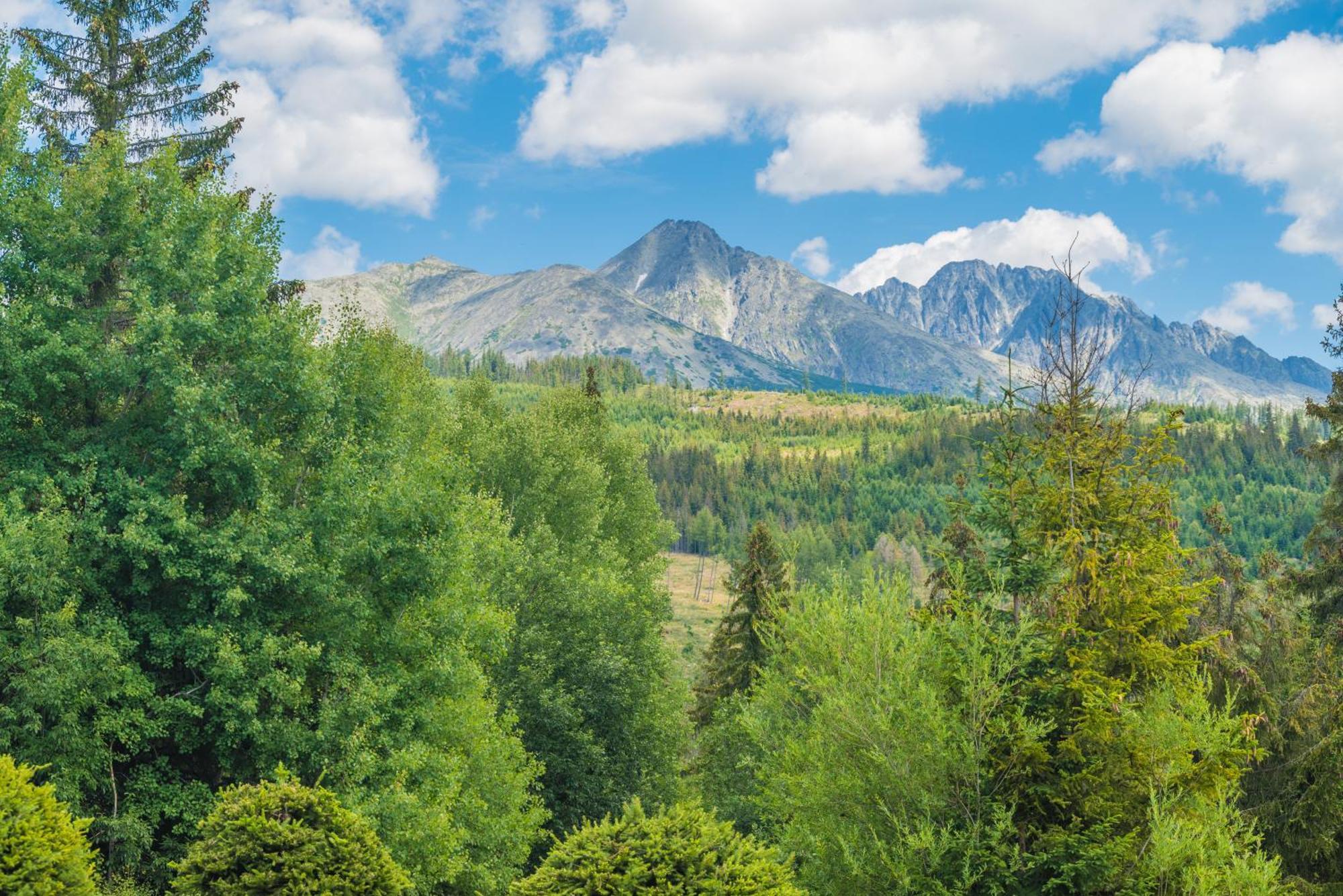 Štrbské Pleso Sherpa'S Hostel High Tatras מראה חיצוני תמונה